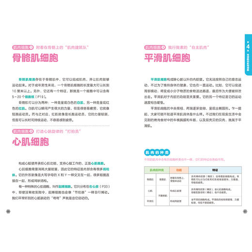 《漫画图解微观世界》(全2册)：《显微镜下的细胞》《显微镜下的微生物》 商品图6