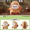 MR.PA-耙耙动物有限公司系列盲盒 商品缩略图4