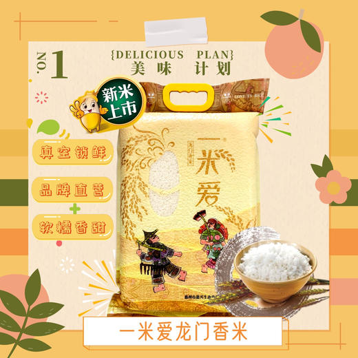 【顺丰包邮】广东惠州龙门一米爱龙门香米5kg/袋 商品图1