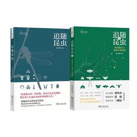 追随昆虫1+2(自然感悟)