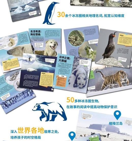 《BBC系列：冰冻星球Ⅱ》-分销 商品图2