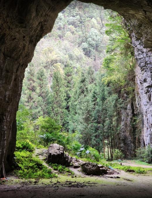 【全景恩施·峡谷秘行】立体穿行恩施，4日徒步探秘亿年地质史诗 商品图5