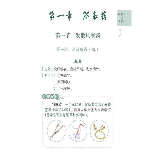中药功效主治速查速记 商品图3