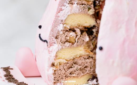 康乃馨盆栽 Jelly cat|母亲节限定 | 昔果 商品图5