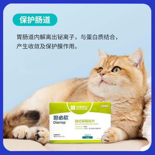 汉维宠仕坦必欣碱式碳酸秘片宠物猫腹泻止泻药拉稀狗狗胃肠炎 商品图1
