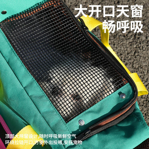 运动斜挎宠物包-B(包邮） 商品图3