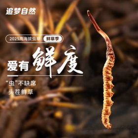 鲜野生冬虫夏草 | 高海拔 纯野生【端午节买赠福利：下单100根➕送同规格10根】
