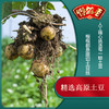 馋解香200g麻辣味香辣味土豆丝 商品缩略图5