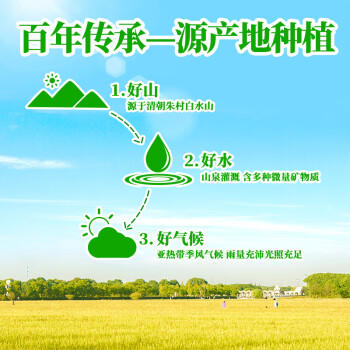 挂绿增城丝苗米10斤 国家地标认证（当季新米）增城特产南方籼米 /粮油调味 /米 /丝苗米 商品图4