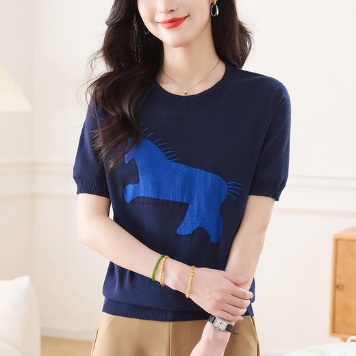 CC-66-2522时髦洋气女士小衫2025新款夏季冰丝短袖上衣宽松短款百搭针织t恤 商品图0