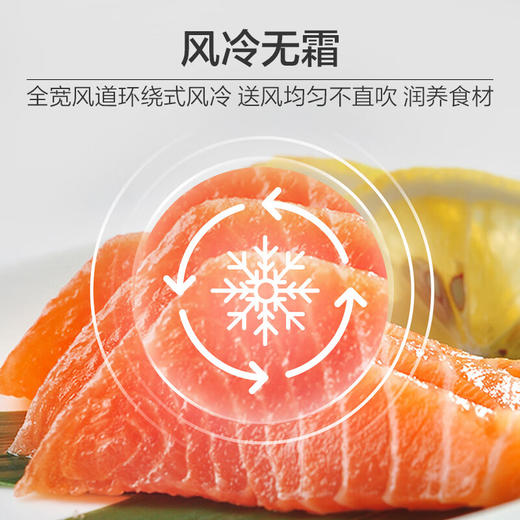 海尔（Haier）190升风冷无霜二门两门双门节能小户型家用电冰箱租房冷藏冷冻BCD-190WGHC2E9GL 商品图5