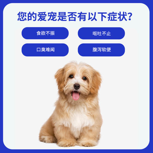 汉维宠仕宠物用西美丁西咪替丁片猫狗呕吐肠胃炎慢性肾炎调理肠胃 商品图2