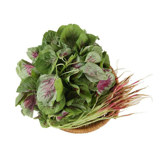 红苋菜500g 商品图0