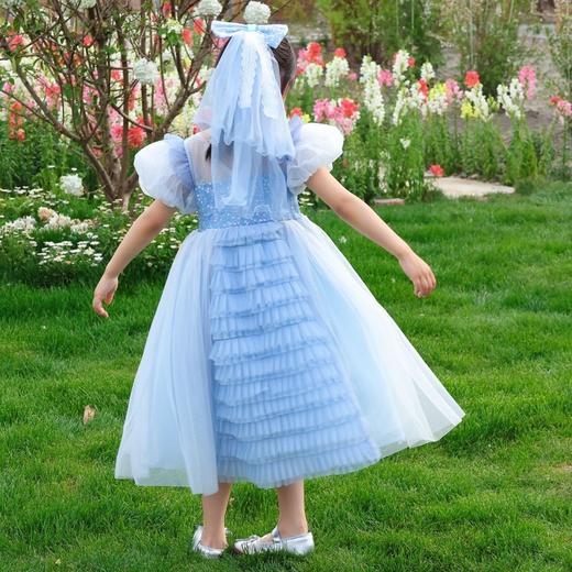 3-5天发货 蓝狗·重工艾莎公主裙 商品图1
