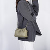 【预售3天】新款女士云朵女包 高级感通勤百搭斜挎链条包DD1102 商品缩略图1