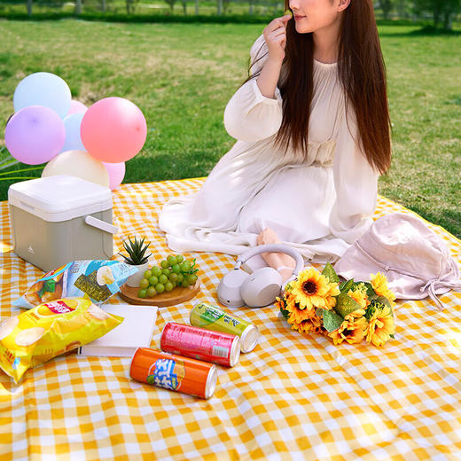 川崎 野餐垫 K3I00-A0812-1白黄格200*200cm 商品图7