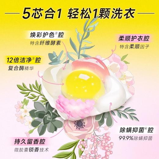【立减50】⭐️尹谜×PWU朴物大美5D香氛洗衣凝珠三合一70颗装 商品图2