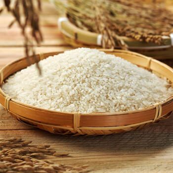 初萃 中粮1号香米10斤 东北大米 一级粳米 五常产地直供 长粒香大米 /粮油调味 /米 /长粒香米 商品图0