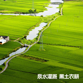 百梁桥五常大米10斤 东北大米5kg 长粒粳米真空2025年新米 热门商品 /粮油调味 /米 /稻花香米 商品图5