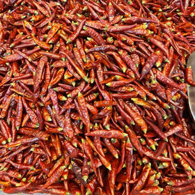 重庆特产【干辣椒】