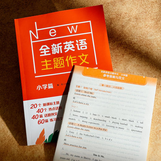 2023全新英语主题作文 小学篇 词汇句型积累 写作技巧 商品图3