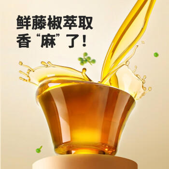 海天 凉拌汁 麻辣酸爽 凉拌调料 点蘸捞汁 调味汁 麻辣味570g  /粮油调味 /调味品 /复合调味汁 商品图1