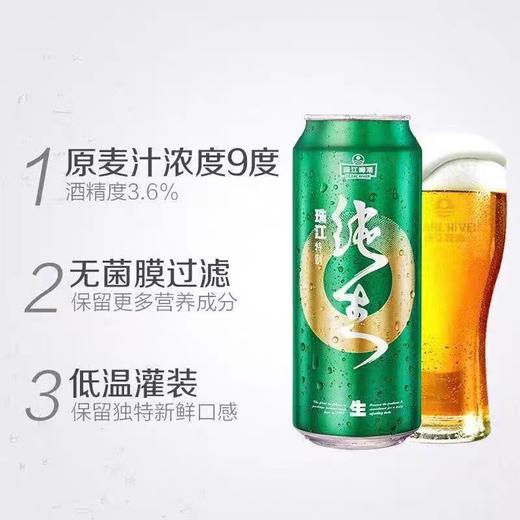 【整箱】珠江啤酒 特制纯生9度 500ml*12听 商品图2