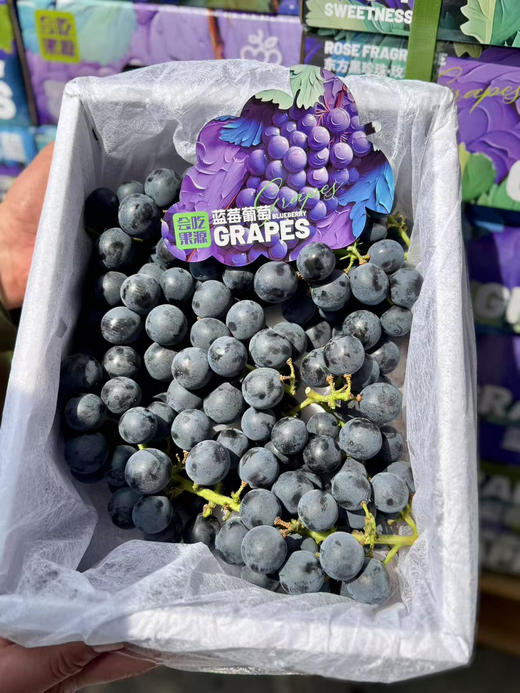 头茬云南夏黑蓝莓葡萄 蓝莓和葡萄的完美结合 ，酸甜口感，一丢丢酸，可以忽略果味浓，净2.5斤/箱 商品图1