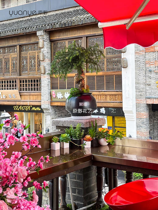 室内外景观设计/花艺沙龙/美容院/休闲娱乐软装门店布置仿真花设计造景（具体价格可咨询商家） 商品图9