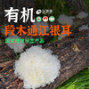 【十人份】裕德源通江银耳传统段木栽培有机认证50g家庭装二级 商品缩略图0