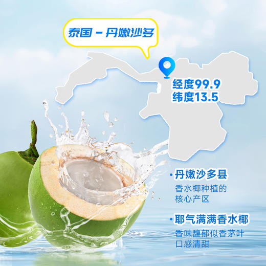 耶气满满 丨 香水椰椰子水 300ml*12瓶 商品图2