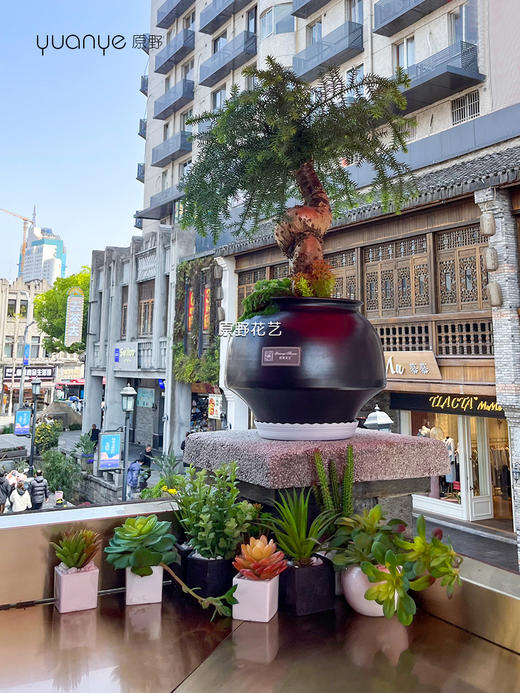 室内外景观设计/花艺沙龙/美容院/休闲娱乐软装门店布置仿真花设计造景（具体价格可咨询商家） 商品图8