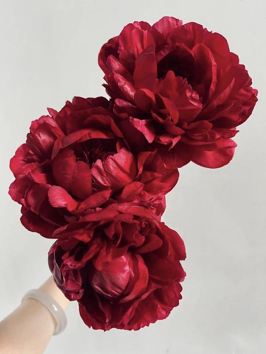 【预售！4.20起陆续发出】亨利博克斯特芍药【人间四月天，芍药铺庭前】 新品进口品种红色重瓣芍药  2束包邮 顺丰空运直发 商品图0