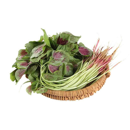 红苋菜500g 商品图1