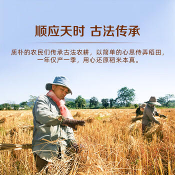 良记金轮泰香香米 金香泰香香米20斤 原粮进口大米 长粒香米 籼米一级大米 /粮油调味 /米 /泰国香米 商品图6