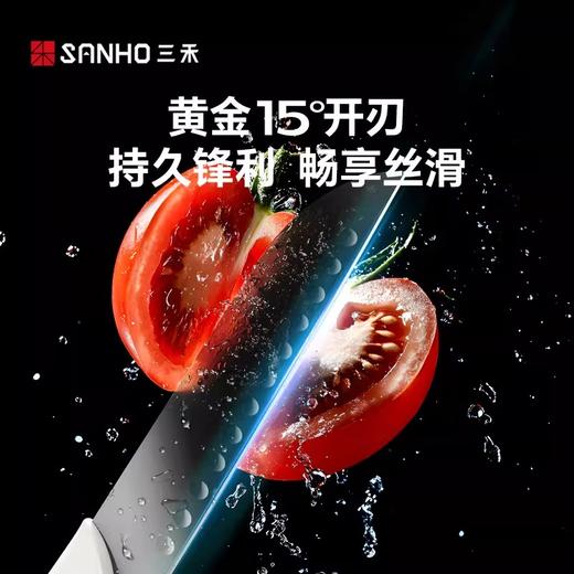 三禾套刀抗菌刀具菜刀水果刀家用组合全套防锈厨具TD301 商品图2