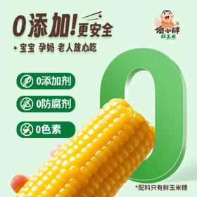 傻小胖紫玉米黄糯鲜玉米3斤（10根）8cm中间段黏玉米棒 早餐 杂粮 /粮油调味 /杂粮 /谷米类