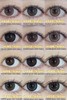 『日抛活动』 Deerbell-日抛合集-14.5mm-14.2mm【日抛 度数0-1000度 含525/575】 商品缩略图1