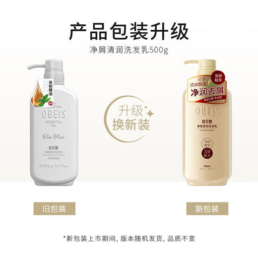 欧贝斯净屑清润洗发乳500ml 商品图6