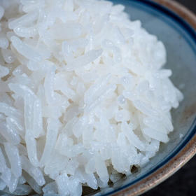 增荔 臻选增城丝苗米国家地标 南方籼米 煲仔饭专用米10斤大米 /粮油调味 /米 /丝苗米