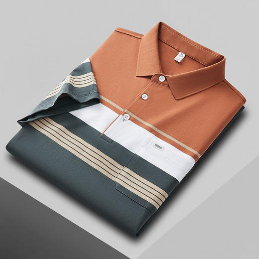 男士POLO衫夏季95%棉 翻领口袋条纹短袖上衣   PSL25115* 商品图2