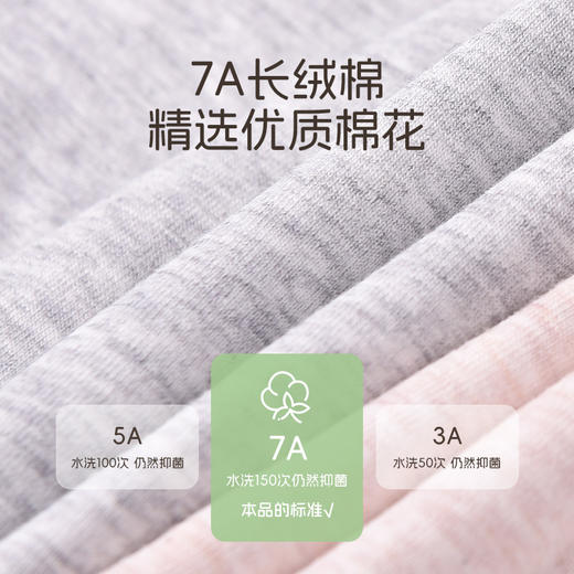 【7A抗菌】洁丽雅4条装中腰纯棉女士内裤双层纯棉裆舒适透气三角裤 商品图7