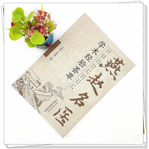 燕赵名医学术经验荟萃 付婷婷 武淑娟 主编 中国中医药出版社 临床医案书籍 商品图1