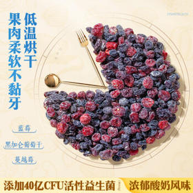 洽洽小蓝袋益生菌每日坚果750g/30日装酸奶风味儿童节营养零食恰恰