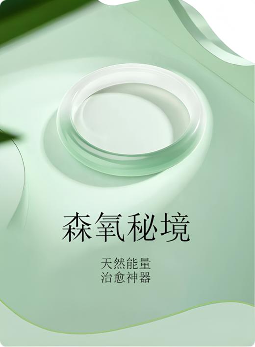 森氧秘境玉髓手镯 商品图0