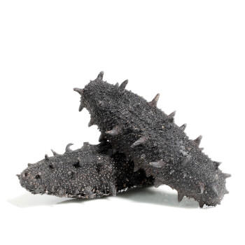 晓芹 大连淡干海参 45g 13-15只 辽刺参 海参干货 中秋礼盒 /粮油调味 /南北干货 /干海参 商品图3