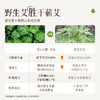 元气达人&艾上山野 石墨野生艾条 三年陈艾  逐湿散寒 商品缩略图3