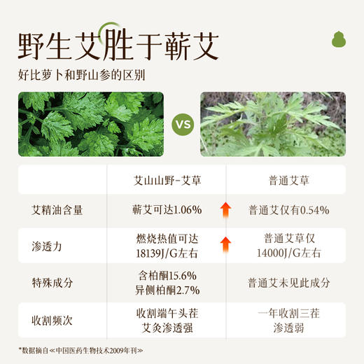 元气达人&艾上山野 石墨野生艾条 三年陈艾  逐湿散寒 商品图3