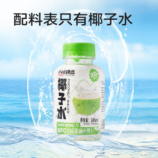 小杨臻选 100%椰子水 0脂天然电解质饮品 245ml*10瓶 NFC纯椰水 商品图2