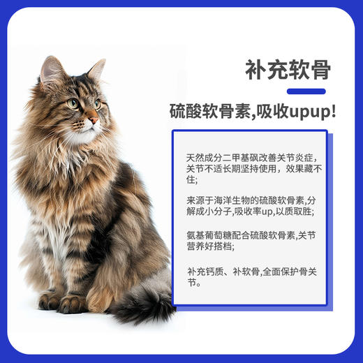 汉维宠仕托普健宠物鲨鱼关节软骨素猫狗关节保护钙片补钙金毛泰迪 商品图2